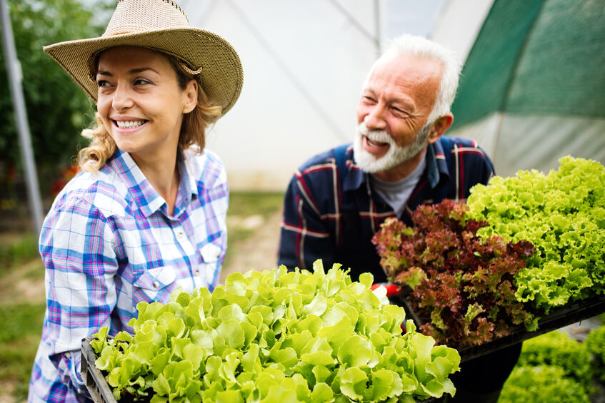 Fall Planting in Virginia Beach: Refresh Your Garden with These Favorites