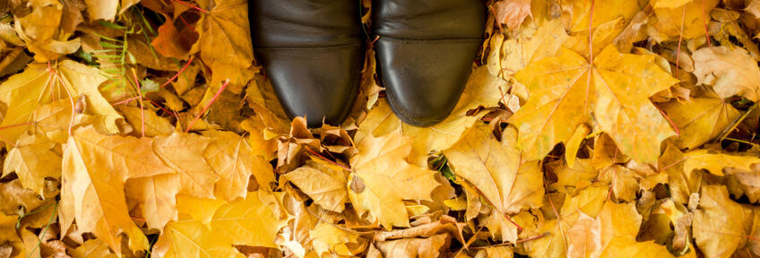 Soak in the Fall Sights & Peep The Best Autumn Views in Virginia with This Top List!