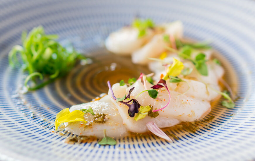 Top Summer Dinner Spots in Virginia Beach